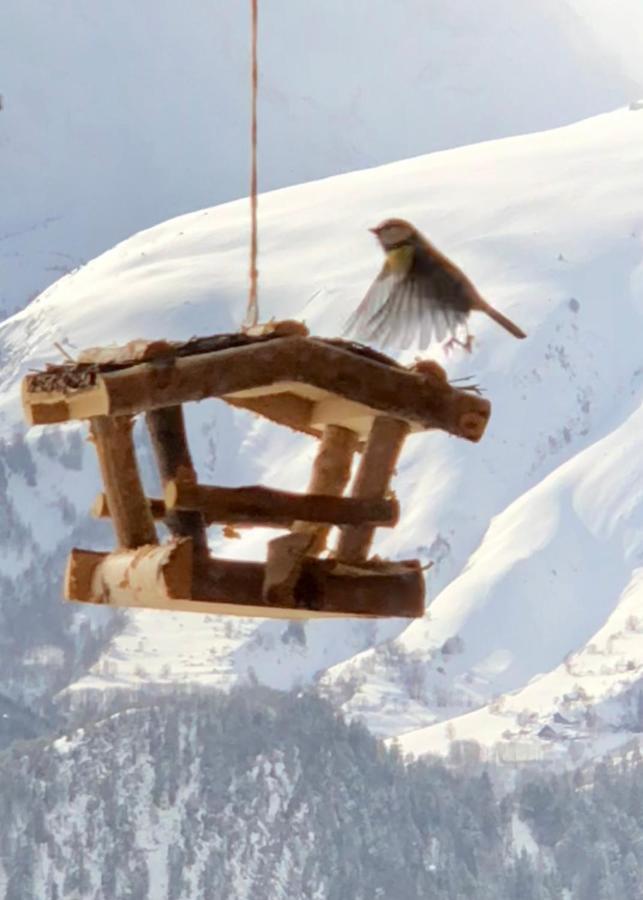 Chalet Lodge Oberig Exclusive Villard-Reculas Экстерьер фото