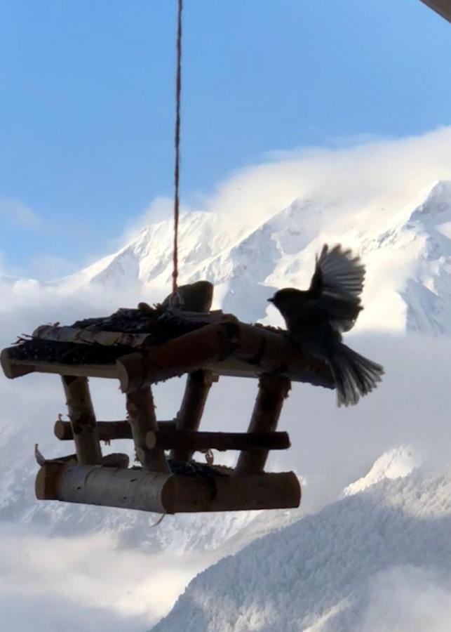 Chalet Lodge Oberig Exclusive Villard-Reculas Экстерьер фото